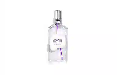 EDT 50ml