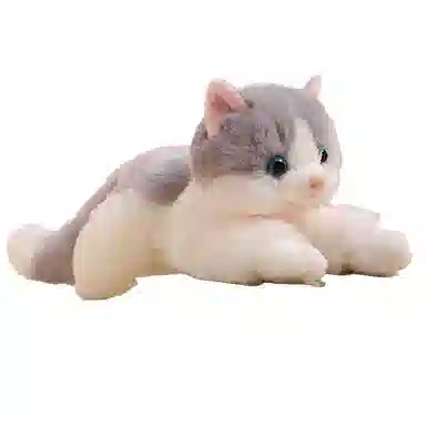 ZHUOQU