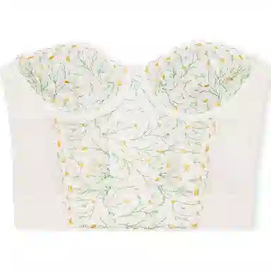 Victoria's Secret PINK Dream Angels Daisy Chain Embroidery Strapless Corset