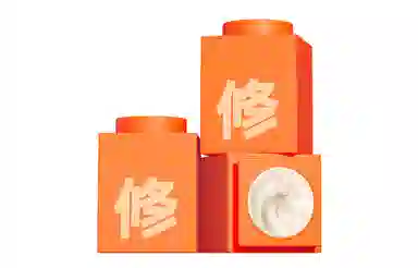 C 3