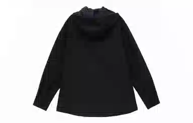Dickies FW22 Logo