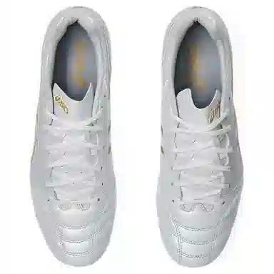 Asics DS LIGHT PRO AG