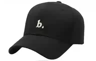 BSELEON b