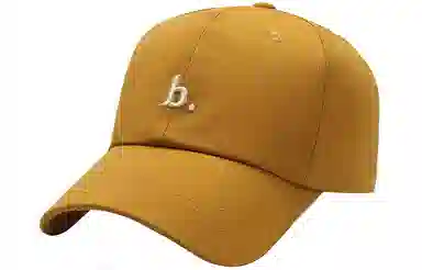 BSELEON b