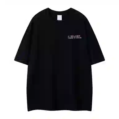 LEVEL T