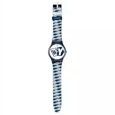 SWATCH 30 41mm SO29Z141