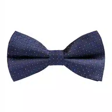 啄木鸟 新郎领结方巾伴郎西装寸衫礼服蝴蝶结正品 领带 男款