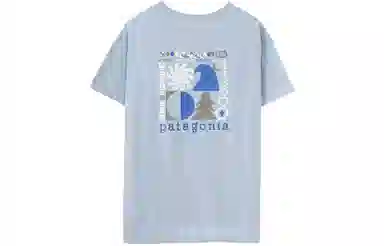 patagonia SS23 T