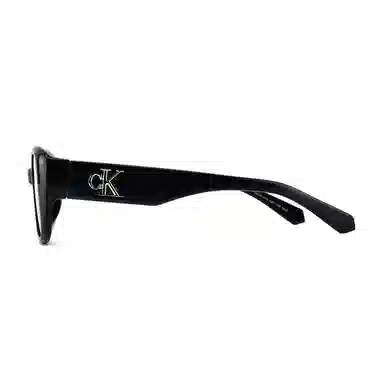 Calvin Klein Cat Eye Sunglasses