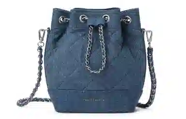 Charles & Keith Quilted Chain Backpack