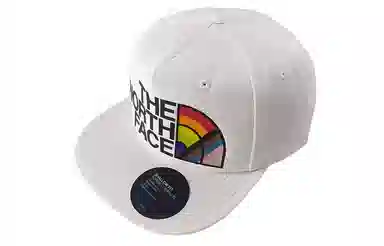 The North Face Logo Baseball Cap