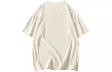 ZNTN T