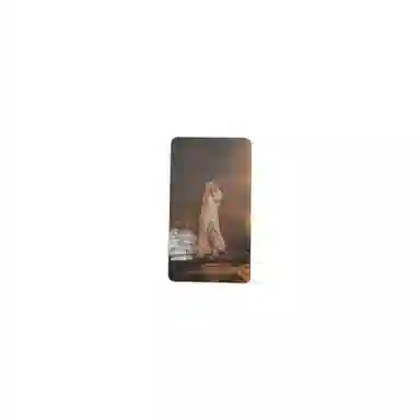 YG Entertainment BLACKPINK BLACKPINK DVD K4