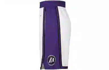 Nike Dri-Fit Lakers Logo Shorts