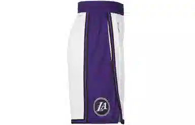 Nike Dri-Fit Lakers Logo Shorts