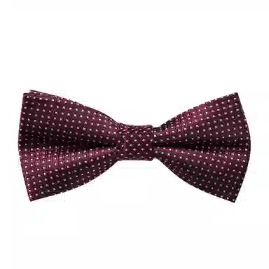 啄木鸟 新郎领结方巾伴郎西装寸衫礼服蝴蝶结正品 领带 男款