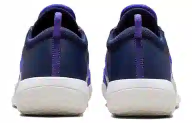 Nike Zoom Court NXT HC