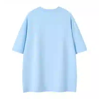 LEVEL T