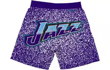 Mitchellness NBAlogo SW