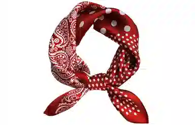 优幽兰 腰果 搭配衬衫职业装围脖子四季通用薄款高级感文艺飘带穿 丝巾 女款