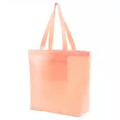 PUMA Core Transparent Shopper