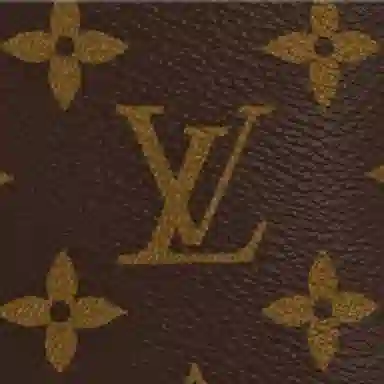 LOUIS VUITTON Speedy Bandoulire 30