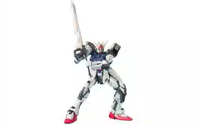 BANDAI PG 160 SEED -14000 30cm