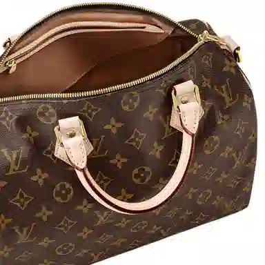 LOUIS VUITTON Speedy Bandoulire 30