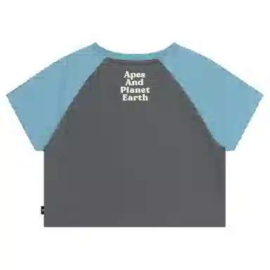 Aape T