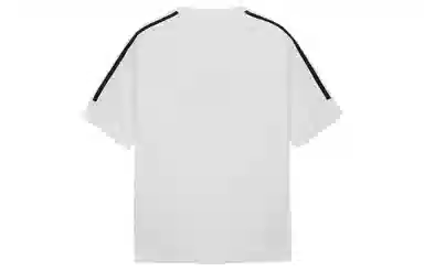 ICONS Lab T