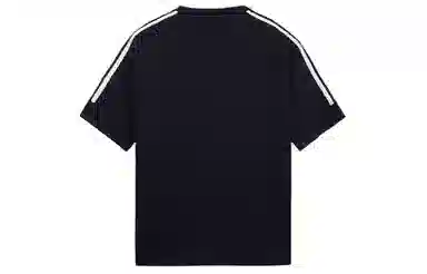 ICONS Lab T