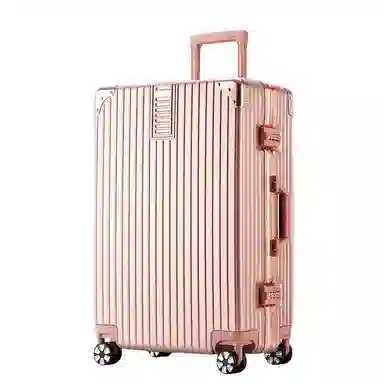 PULUWIRR ABSPC 20242622