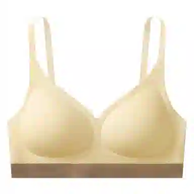 帕兰朵 无痕聚拢防下垂上托文胸 女款