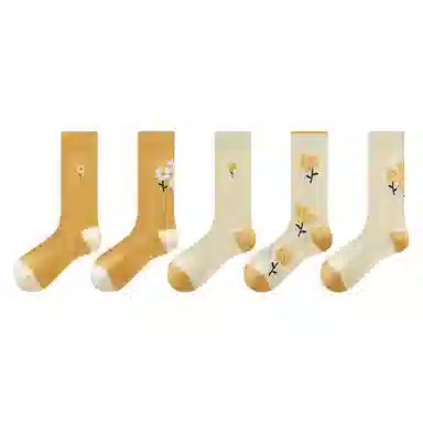 5