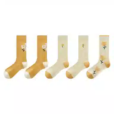 5