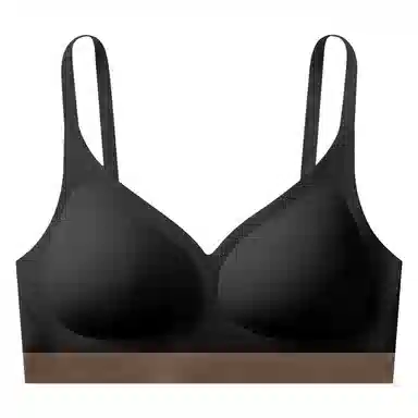 帕兰朵 无痕聚拢防下垂上托文胸 女款