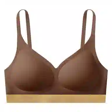 帕兰朵 无痕聚拢防下垂上托文胸 女款