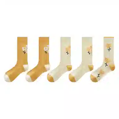 5