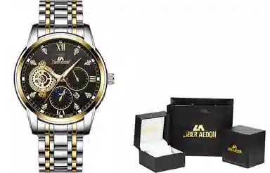 LIBER AEDON Black Warrior