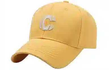 BSELEON C