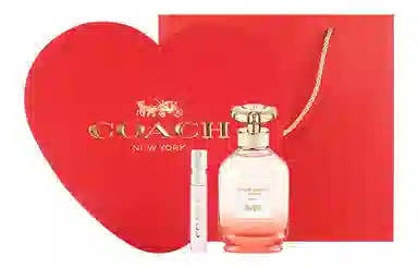 COACH40ml60ml90ml+2ml