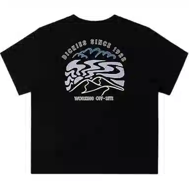 Dickies SS24 T