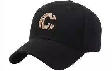 BSELEON C