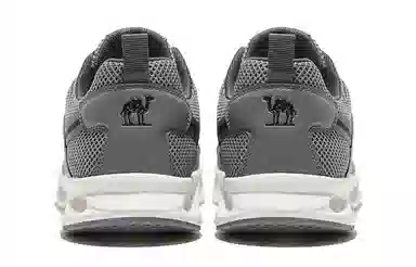 CAMEL