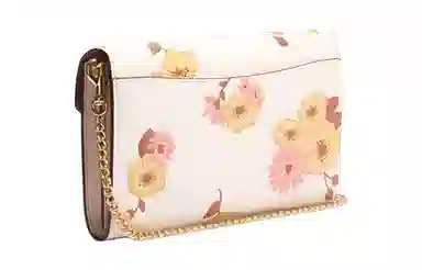 COACH Envelope 21