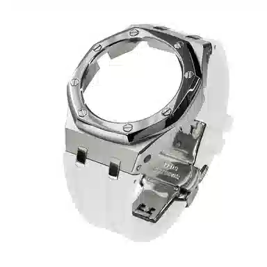 GA-21002110B2100 316