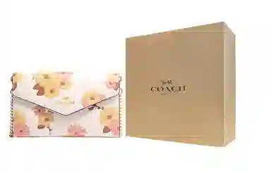 COACH Envelope 21