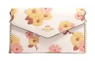 COACH Envelope 21