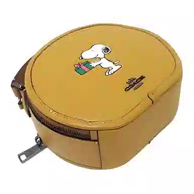 COACH x Peanuts Dempsey 18