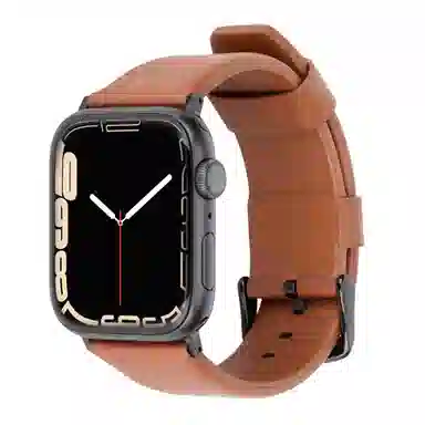 REXINTS Apple Watch 42444549MM